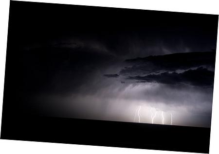 Blower Motor Assembly