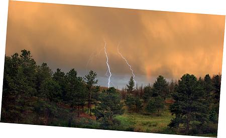 Evaporated Emission Control System Diagram