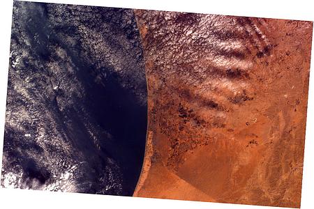 Transfer Case Control Module