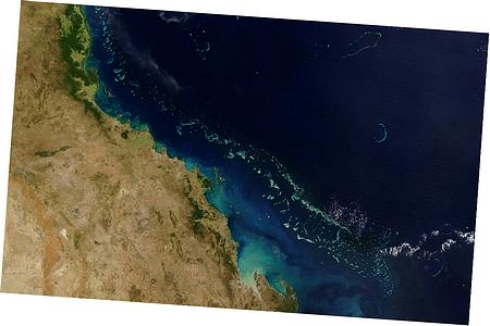 Interior Light Control Module