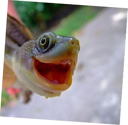 Chevrolet Heater System