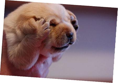 GM Heater Control Valve Diagram