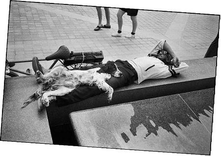 Control Arm Shaft Kit Upper