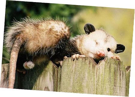 Thermostat Control Assembly