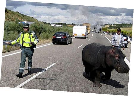 How To Replace Purge Control Valv