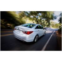 Door Moulding with weatherstripping clips attached